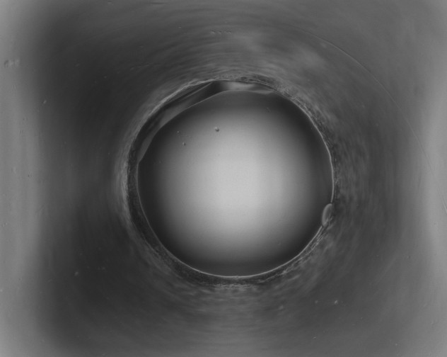 X0000102780242200808181155