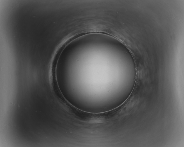 X0000102780248200808181155