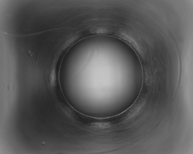 X0000102780251200808181155