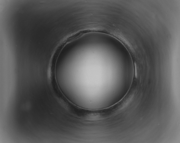 X0000102780252200808181155