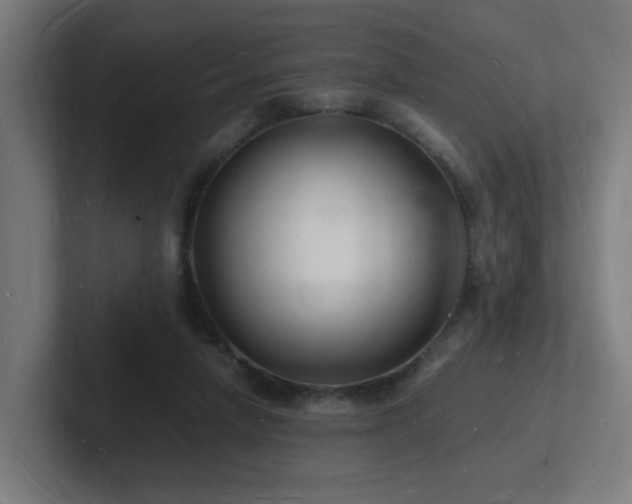 X0000102780258200808181156