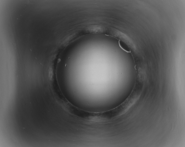 X0000102780259200808181156