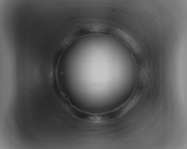 X0000102780265200808181156