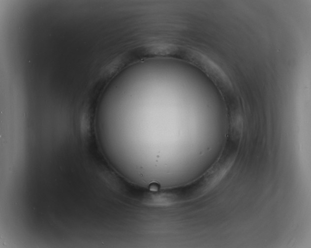 X0000102780268200808181156