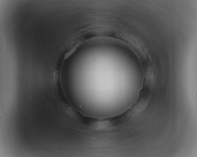 X0000102780278200808181156