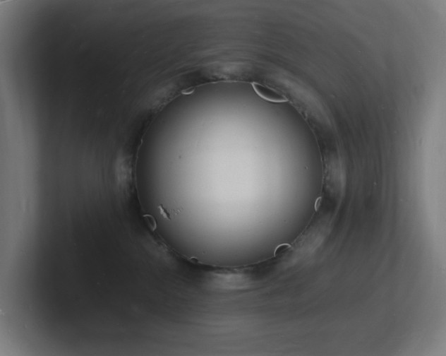 X0000102780284200808181156