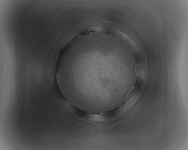 X0000102780285200808181156