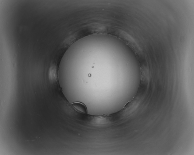 X0000102780287200808181156