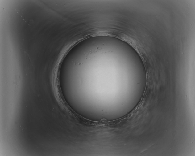 X0000102780289200808181155