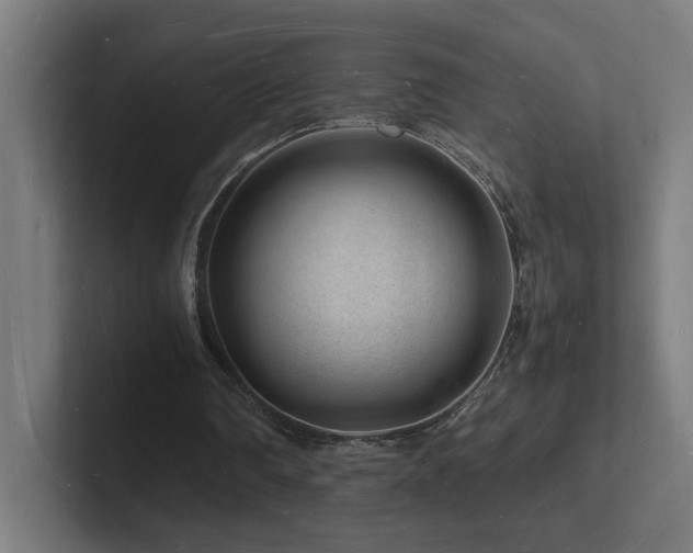 X0000102780290200808181155