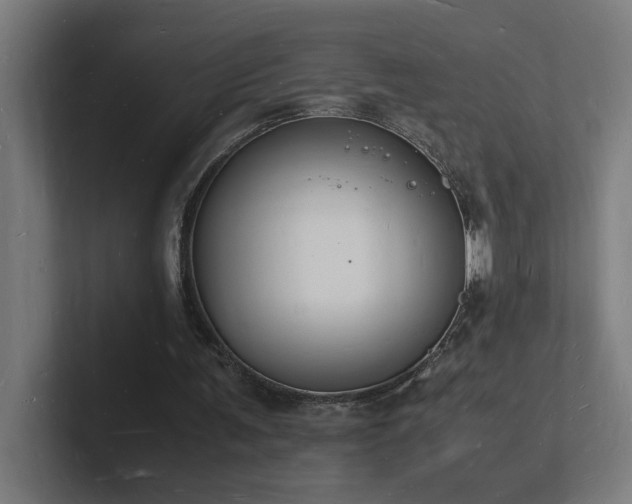 X0000102780291200808181155