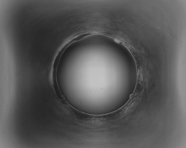 X0000102780292200808181155