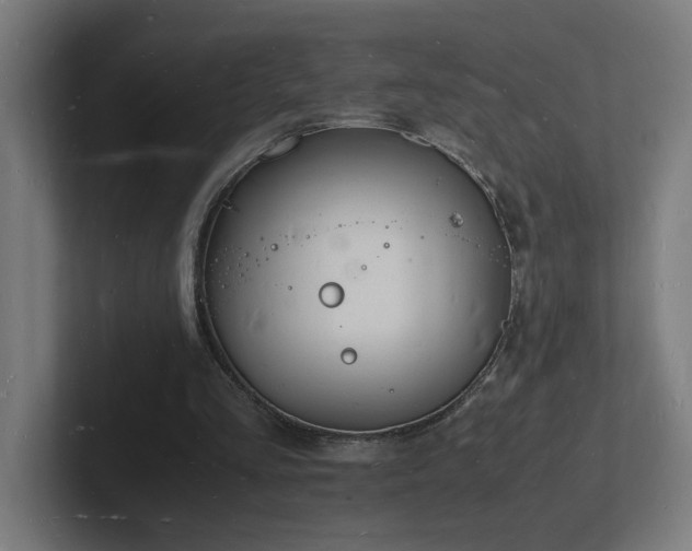 X0000102780293200808181155