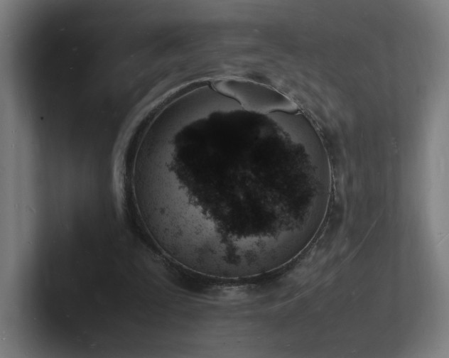 X0000102780295200808181155