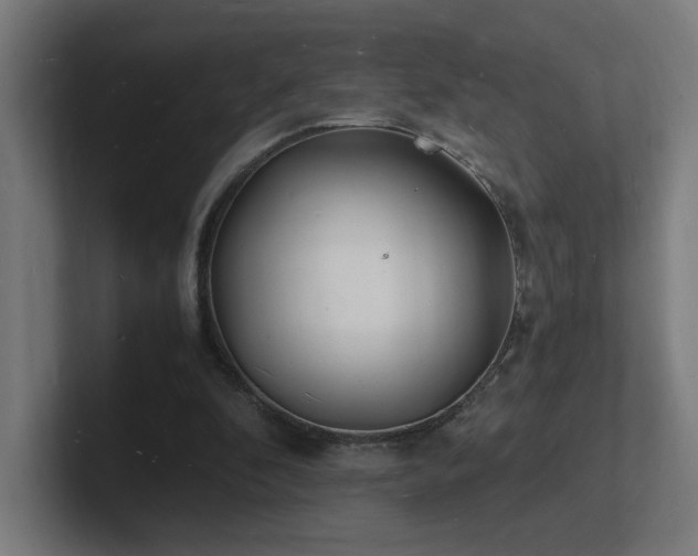 X0000102780296200808181155