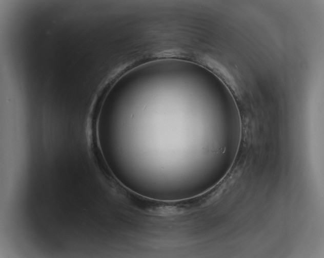 X0000102780298200808181155