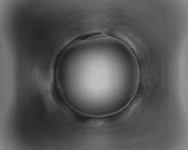 X0000102780299200808181155