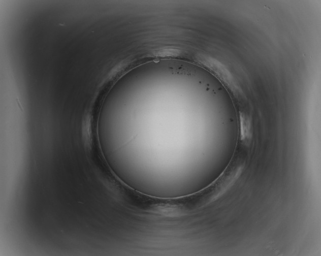 X0000102780300200808181155