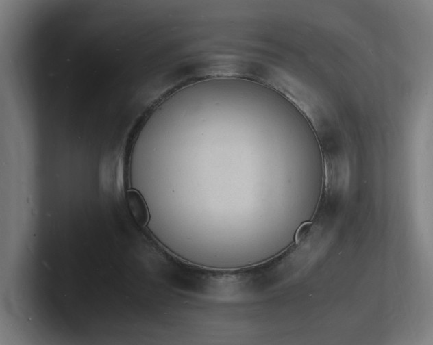 X0000102780301200808181155