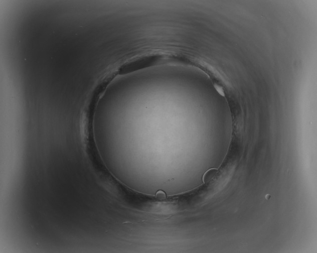 X0000102780303200808181155