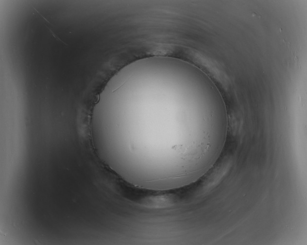 X0000102780307200808181155