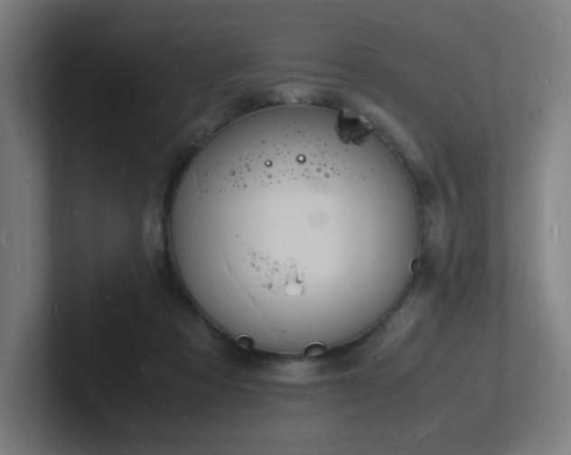 X0000102780313200808181155