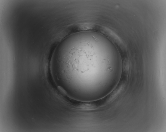 X0000102780315200808181155