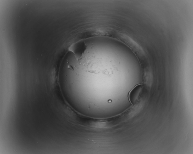 X0000102780318200808181155