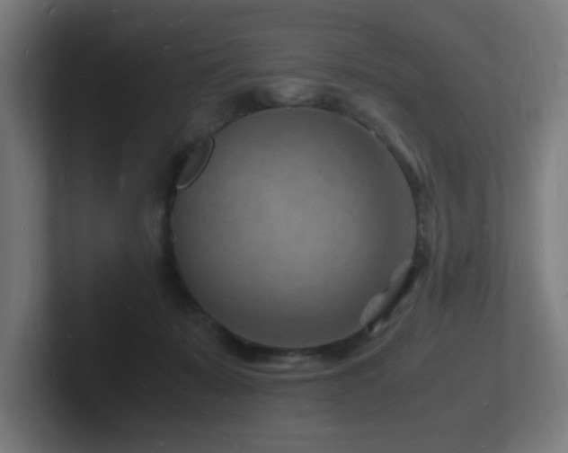 X0000102780319200808181155