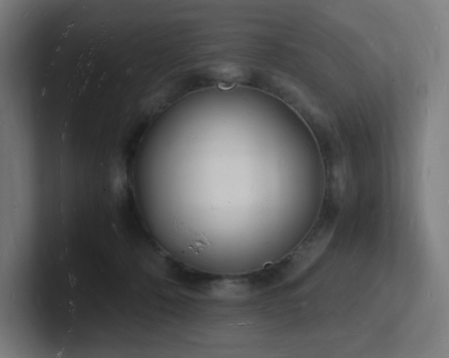 X0000102780320200808181155