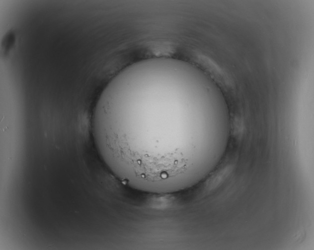 X0000102780321200808181155