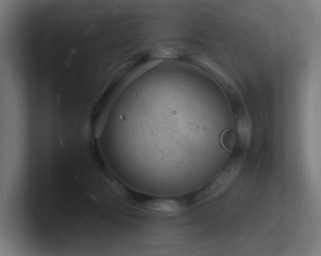 X0000102780322200808181155