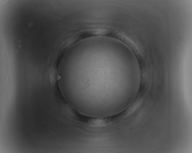 X0000102780325200808181155