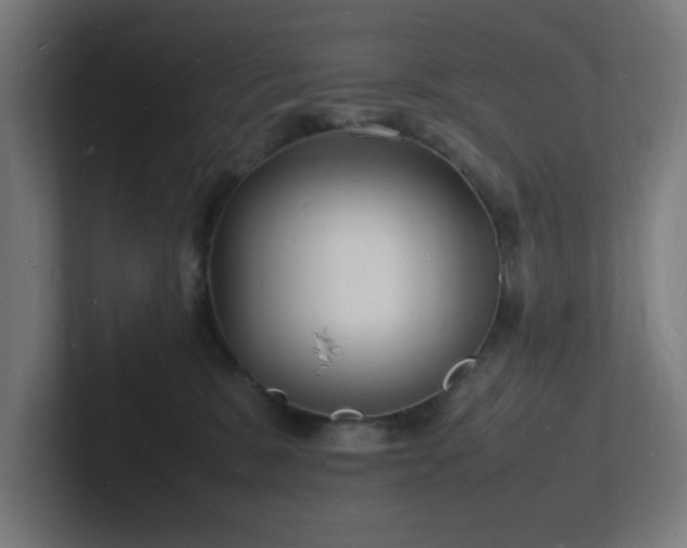 X0000102780327200808181155