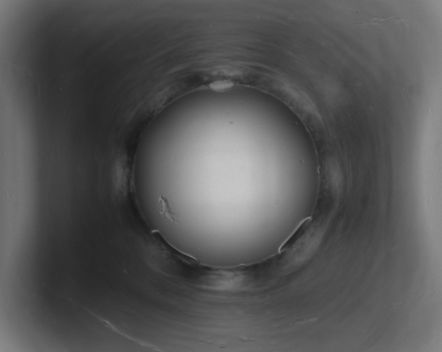 X0000102780328200808181155