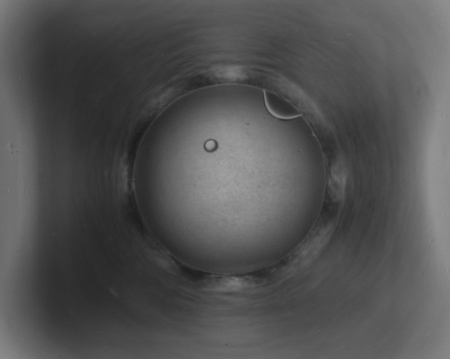 X0000102780330200808181155