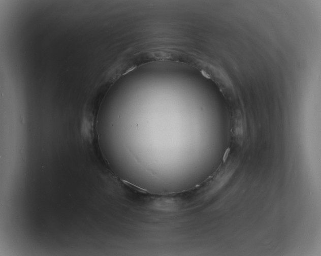 X0000102780332200808181155