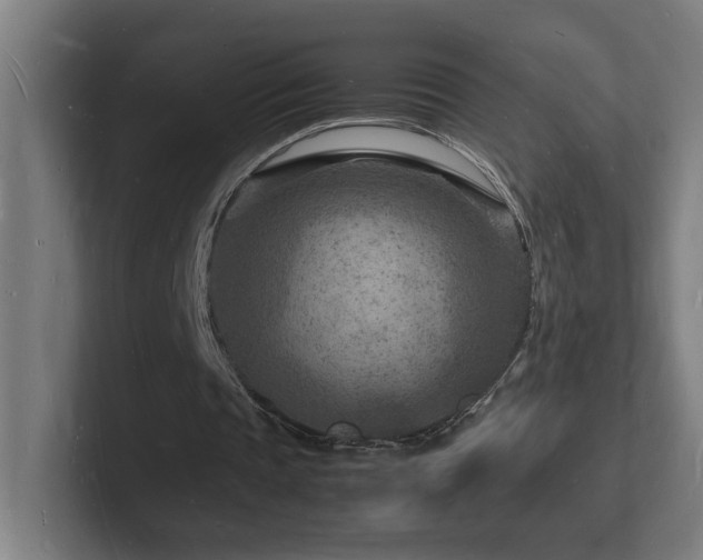 X0000102780337200808181154