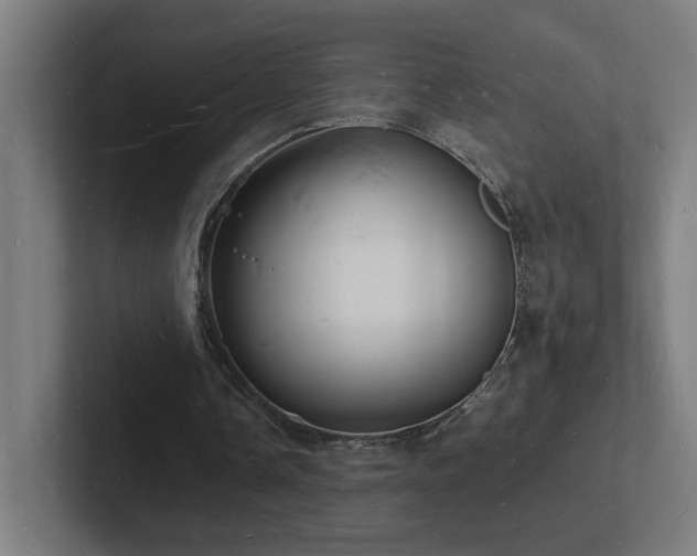 X0000102780338200808181154