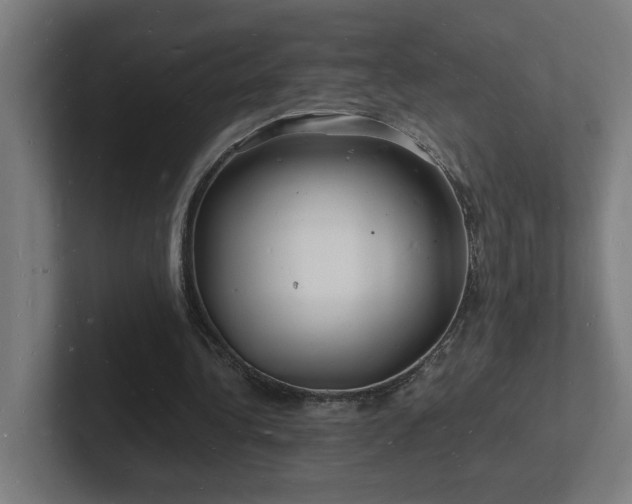 X0000102780340200808181154