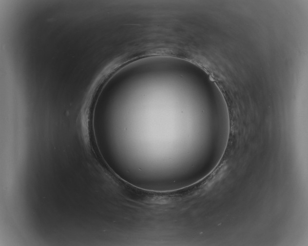 X0000102780341200808181154