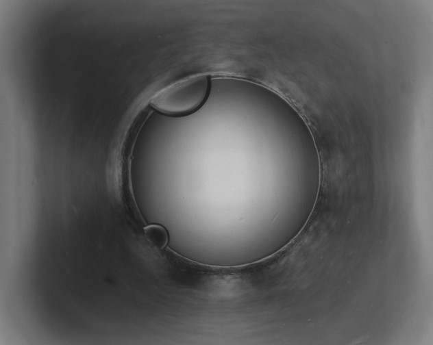 X0000102780344200808181154