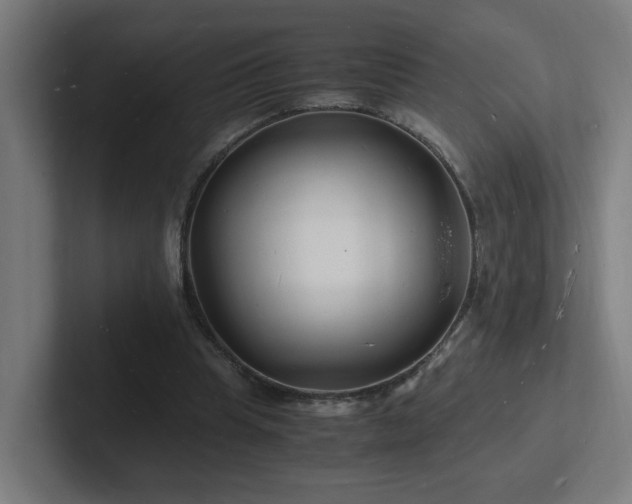 X0000102780345200808181154