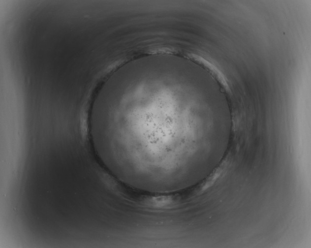 X0000102780353200808181154