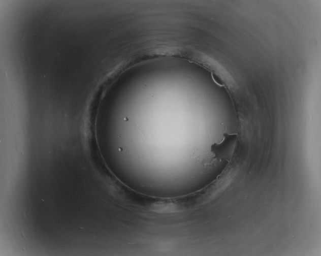 X0000102780354200808181154