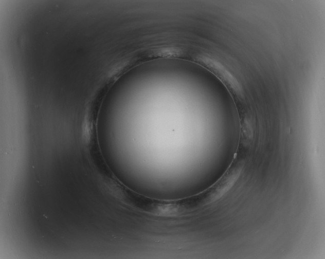 X0000102780355200808181154