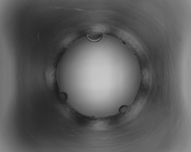 X0000102780356200808181154