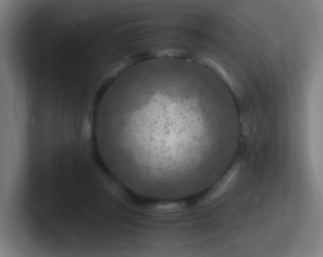 X0000102780357200808181154