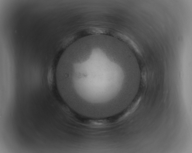 X0000102780359200808181154