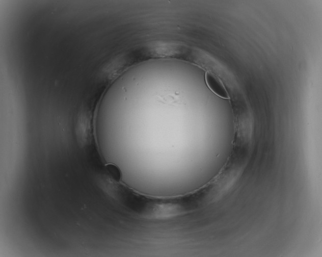 X0000102780360200808181154